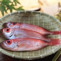 红目鲢鱼