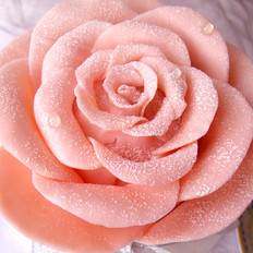 巧克力玫瑰花蛋糕