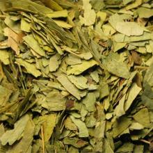 番泻叶能减肥吗 番泻叶茶的制作方法