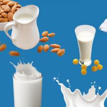 牛奶危害健康 这说法可靠吗