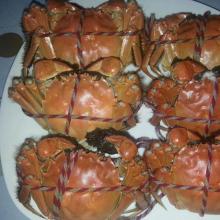 产妇能吃螃蟹吗 螃蟹什么时候的最好吃
