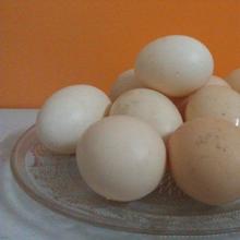 煮鸡蛋要多长时间 三种鸡蛋绝对不能吃