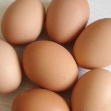 鸡蛋过敏原因 鸡蛋过敏症状
