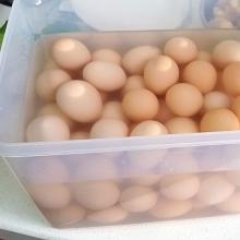 腌鸡蛋的做法 腌鸡蛋有哪些营养价值