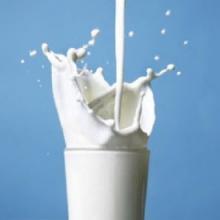 喝牛奶的坏处 喝牛奶有哪些禁忌